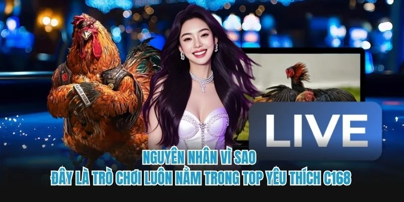 Nguyên nhân vì sao đây là trò chơi luôn nằm trong top yêu thích C168 